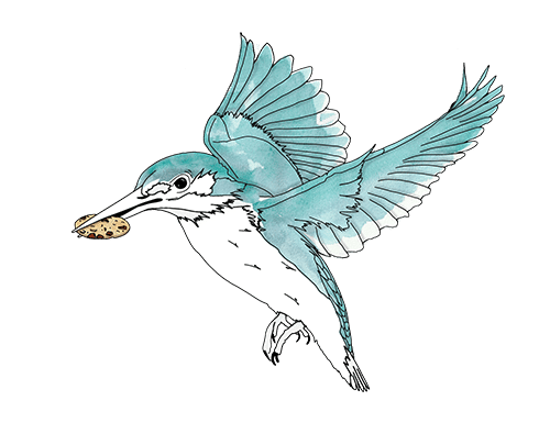 Illustration d'un oiseau