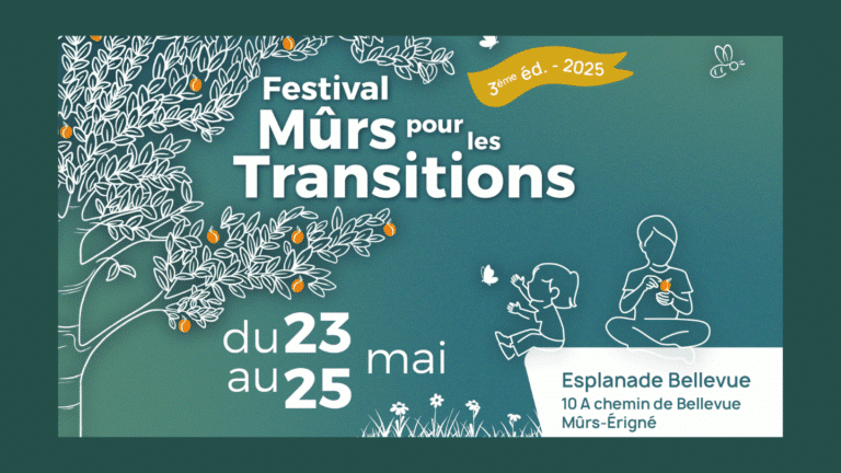 Festival “Mûrs pour les transitions”