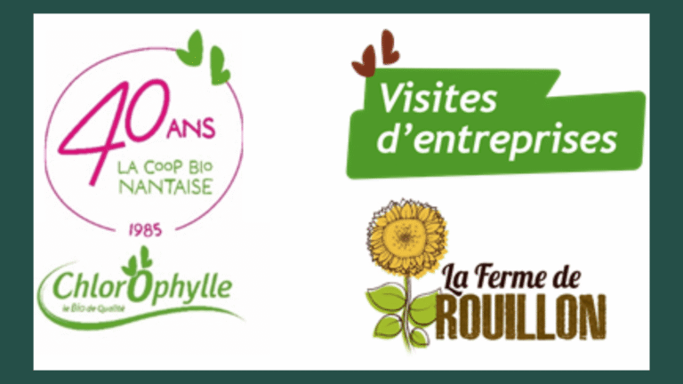 rouillon