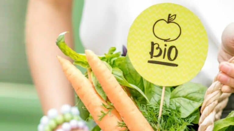 Et si la BIO était la seule solution ?