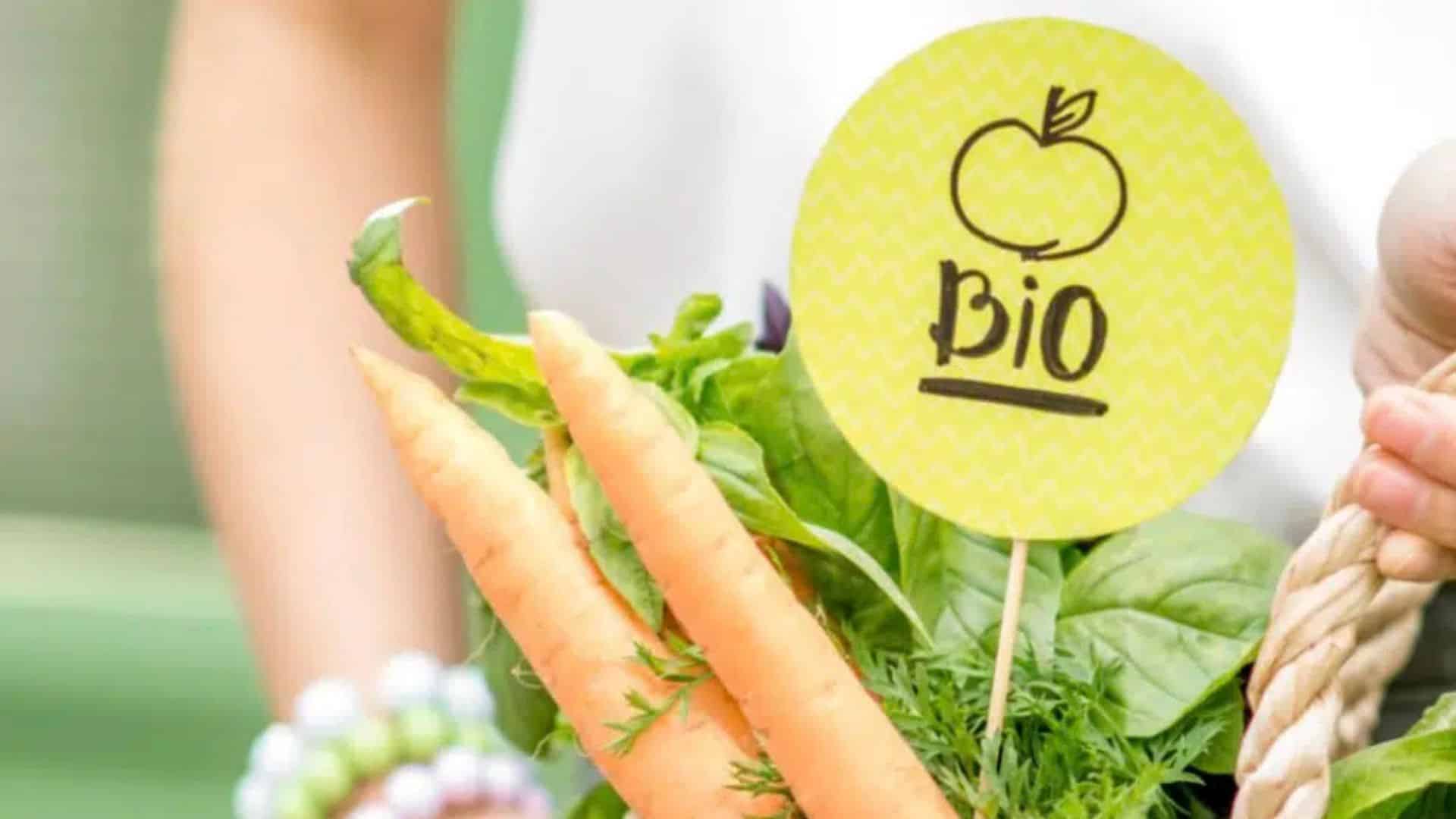Et si la BIO était la seule solution ?