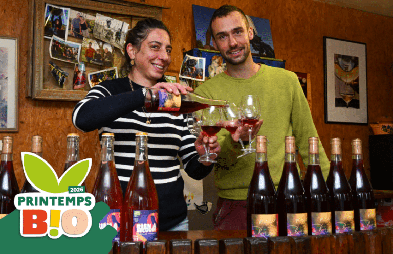 Les Rochambeaulesques